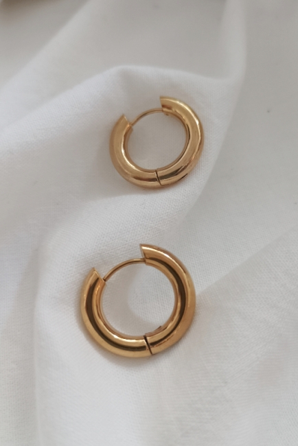 Rosaline earrings σε χρυσή απόχρωση